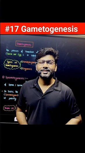 Gametogenesis #spermatogenesis #oogenesis #humanreproduction #neet #neet2026 #ytshorts #shorts