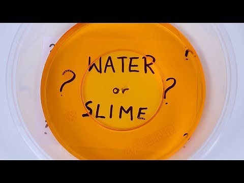 SLIME OR WATER? How many can you guess? - Slime Challenge!