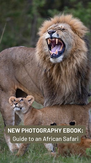 7.9K views · 305 reactions | Embark on the adventure of a lifetime with our new ebook, ‘A Photographer’s Guide to an African Safari’  Join us as we share our tips and insights for capturing unforgettable moments on your African safari. From planning ahead to traveling safely with your gear, this guide has got you covered. Purchase your copy before April 13th and receive a free packing list within the ebook. Link in bio! | Jonathan & Angela Scott | Facebook