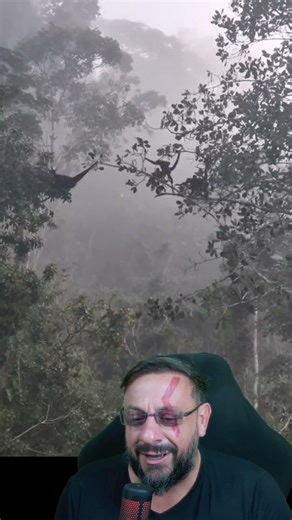 The cutest video in the world, little monkeys helping each other! Your day will be brighter today...