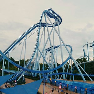 15K views · 273 reactions | Who knew Griffon could get more beautiful? Check out this stunning transformation  Ready to ride?! | Busch Gardens Williamsburg | Facebook