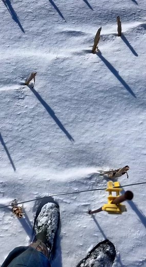 Using a Crowbar to Extract Objects from Snow