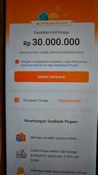 APAKAH SEABANK BISA PINJAM UANG?