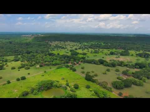 I know my redeemer lives