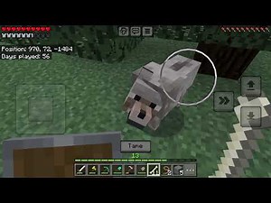 Minecraft - How to tame a Wolf?