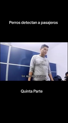 Perros detectan a pasajeros con sustancias ilicitas #perros #pasajeros #perrospolicias