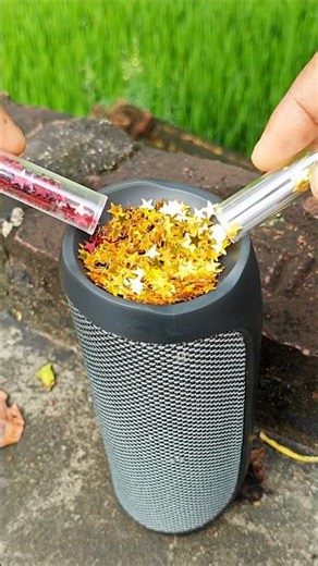 star bass Jbl speaker testing