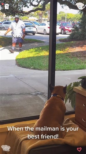 Heartwarming Bond Between Dog and Postman