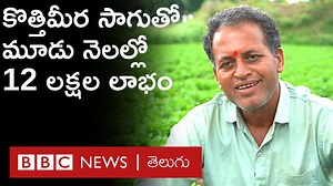 2.2M views · 32K reactions | నాలుగు ఎకరాల్లో కొత్తిమీర సాగు చేసి,...