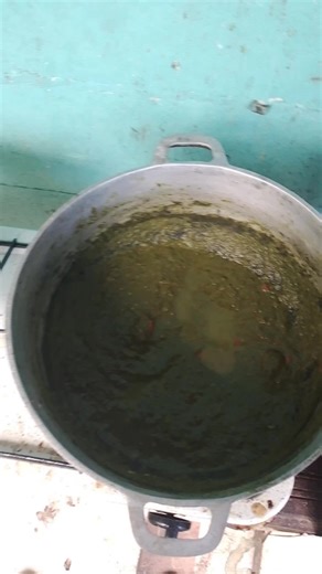 don't see why they must eat something different they get left overs all the time why not as it done cook they eat too