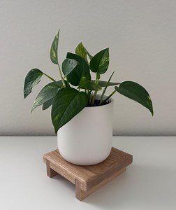Minimalist Red Oak Wood Indoor Plant Stand - Etsy