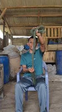 Recommendations for goat bridles that are comfortable and very safe for livestock