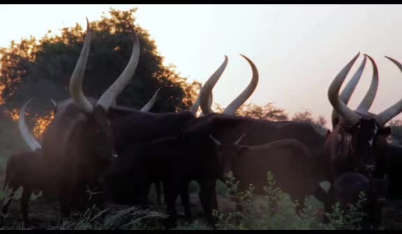 Inspirational Bible Proverbs for Daily Wisdom