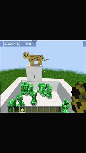 ##Mincraft cat versus creeper #animation #video