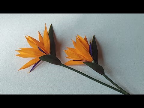 Bird of Paradise Flower Making| Crepe Paper Flower Making| DIY