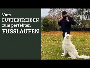 Vom FUTTERTREIBEN zum perfekten FUSSLAUFEN - Abbau des Futters beim Futtertreiben