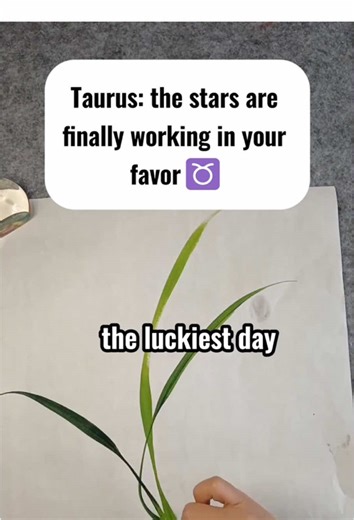 Taurus 2025: Your Luckiest Days and Manifestation Power