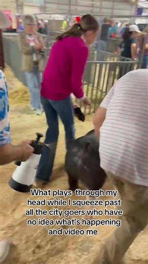 Avoiding Collisions: A Relatable Perspective