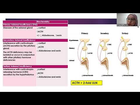 Endocrine week 2 - 12 8 2021 - Adrenal Insufficiency: When to Suspect, Interpreting synacthen test