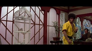 *EXCLUSIVE* Watch the new trailer for Enter the Dragon via Park Circus! 🐉 The new 4K restoration of the Bruce Lee classic will return to cinemas in the UK, Ireland and select wider territories from 11 August to celebrate its 50th anniversary. | Letterboxd