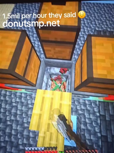 Exploring the Donut SMP with Berry
