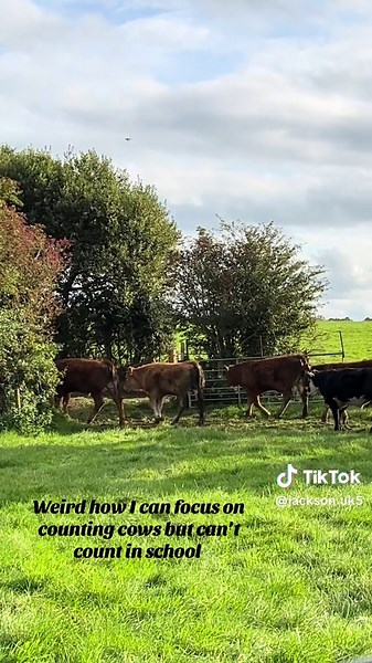 Counting Cows: A Unique Approach to Farming