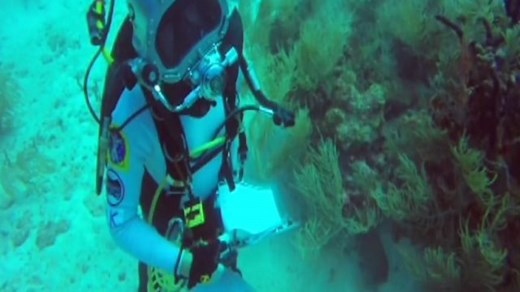 'Red Dragon' Mission to Bring Mars Rocks Back to Earth Could Launch by 2022