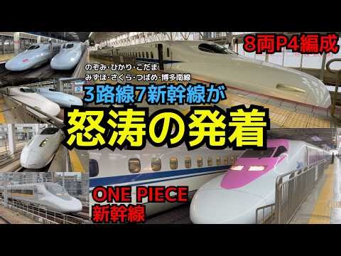 【3路線、7新幹線のカオス駅】JR博多駅 九州新幹線、山陽新幹線 博多南線 発着シーン集 #shinkansen #asmr #hakata