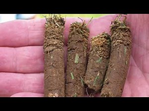 How, when, and why to aerify your lawn. // Learn if your lawn needs to be aerated.