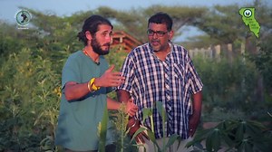 11K views · 157 reactions | This week, Ivan Lieman of Barefoot Soulutions - Kenya takes me around the demo farm in Turkana, where I get to see how they build fertile soil, and use grey water in their system. #theurbanfarmersturkanaexpedition #theurbanfarmerke #barefootsoulutions #permaculture #permaculturedesign #organicfarming #wormery #compost #greywater #bananacircles | The Urban Farmer | Facebook