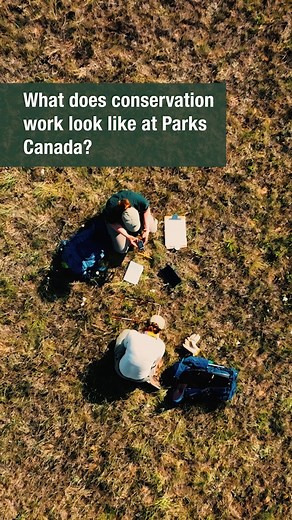 At Parks Canada, we’re making gains in nature conservation with impactful projects, clear priorities, exciting collaborations, and a passionate team of experts. Together with our partners, we’re protecting ecosystems and species across the country—and the results speak for themselves. 💪 Learn more: parks.canada.ca/conservation-2023 #ParksCanadaConservation | Parks Canada