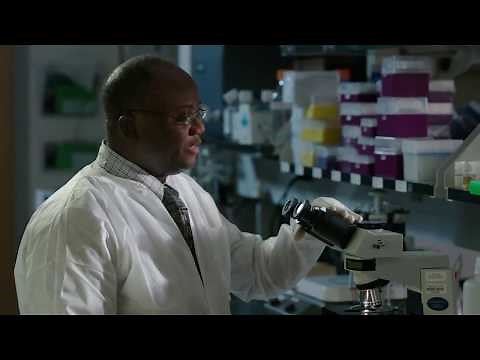 Malaria Microscopy - A Step by Step Guide