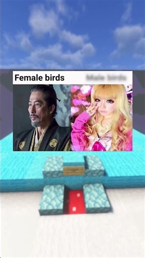 Funny Memes