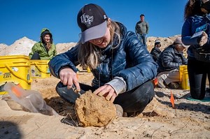 Fossils, Paleontology, and Ancient Life of Florida