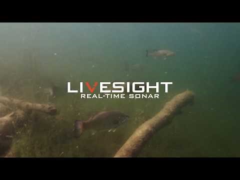 Fish in real-time with NEW LiveSight™ Sonar | Lowrance