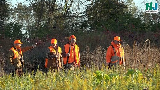 Introduce your kids to pheasant hunting this fall at the guided Take a Kid Hunting Pheasant Hunt! This year’s guided Take a Kid Hunting Pheasant Hunt will take place on Saturday, November 2. Properly licensed youth hunters have the opportunity to pheasant hunt using trained bird dogs under the guidance of volunteer mentors. Guided youth hunts are offered at 8 WMAs throughout the state. All guided morning hunt participants must register online. When registration reaches capacity for each WMA, it