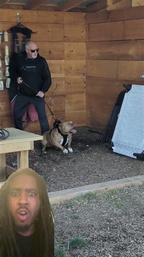 Hot Deal Alert: Grab This Dog Training Tip! #DogTraining