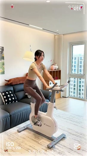 麦瑞克（MERACH）动感单车家用智能自发电健身器材室内自行车绝影ONE2代 MR S10W4