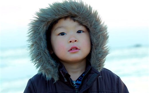 【中英字幕】Echoes - Pink Floyd Evolution