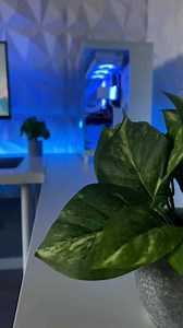 How can I improve the setup? Any Suggestion?