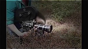 Wild Animals - Wolverine Animal Documentary - Full length Documentaries.