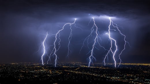 3,50,000,000: That's how many trees are killed by lightning every year