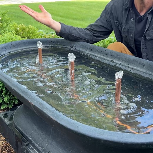 NEW WATER FOUNTAIN! I recently found an old water trough that would have been in a nearby town, and I instantly had the vision of turning it into a water fountain! I've finally made this dream come true, and I'm showing you the process of how I did it. I hope that it inspires you if you, too, have been wanting a fountain in your own yard! Enjoy! You can learn more here: https://www.wyseguide.com/diy-water-fountain/ | Wyse Guide