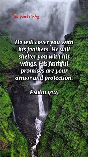 Psalm 91:4 #Jesus #bibleverse #shorts