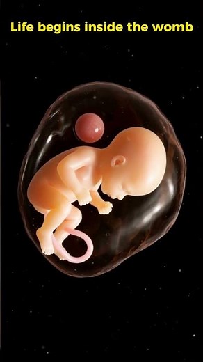 Baby inside the amniotic sac | 3d realistic animation | #shorts ✨#miracleinmotion #pregnancy #baby