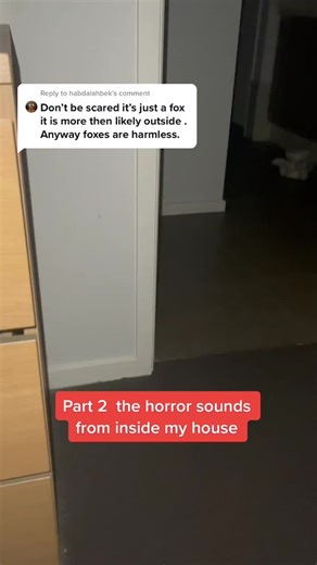 totorothefunnycat on TikTok