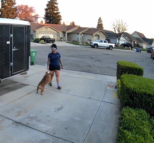 My Dog's Unbelievable Behavior: Here’s the Proof