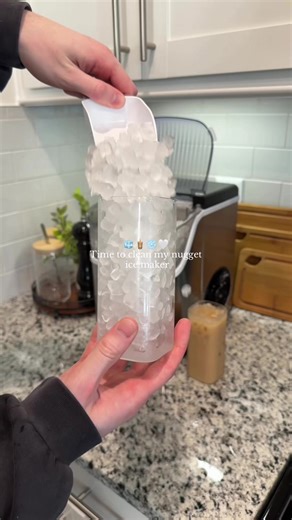 How to Clean Your Nugget Ice Maker