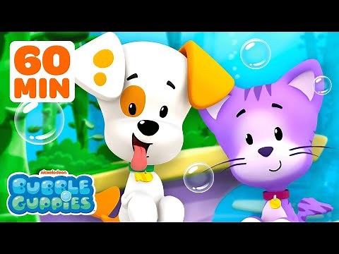 30 Minutes of Bubble Puppy & Bubble Kitty! 🐶🐾 | Bubble Guppies | Nick Jr.