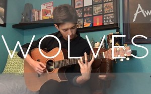 【指弹吉他】Wolves - Selena Gomez, Marshmello - Cover (Fingerstyle Guitar)- Andrew Foy